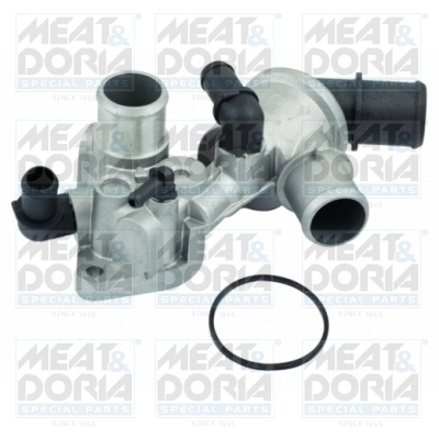 Thermostat, coolant